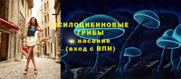 хмурый Пестово