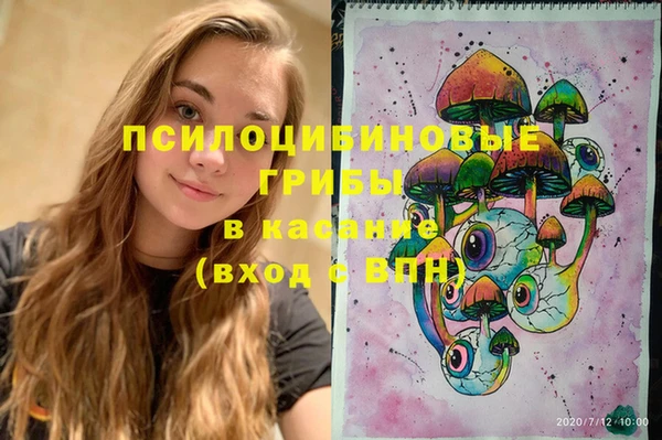 бутират Кондопога