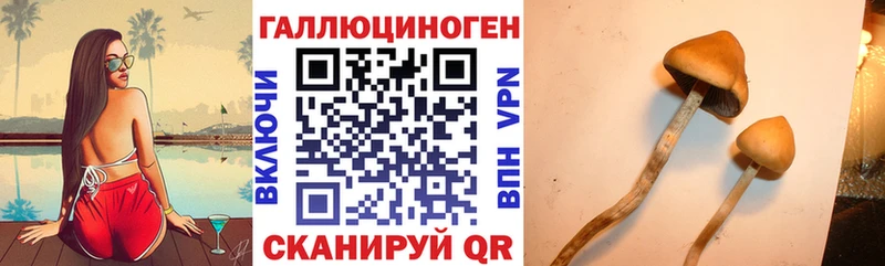 Галлюциногенные грибы мицелий дарк нет формула Севск купить наркотики сайты